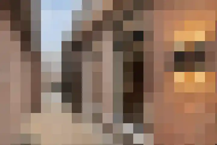 Oranjestraat 15 Lunteren thumbnail 42