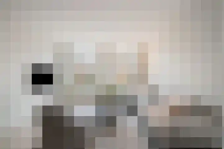 Oranjestraat 15 Lunteren thumbnail 5