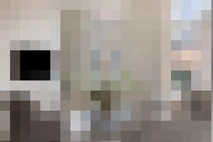 Oranjestraat 15 Lunteren thumbnail 6