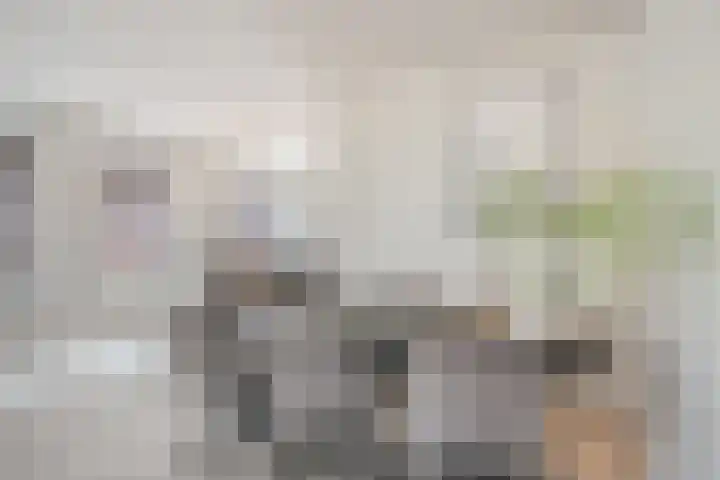 Oranjestraat 15 Lunteren thumbnail 9