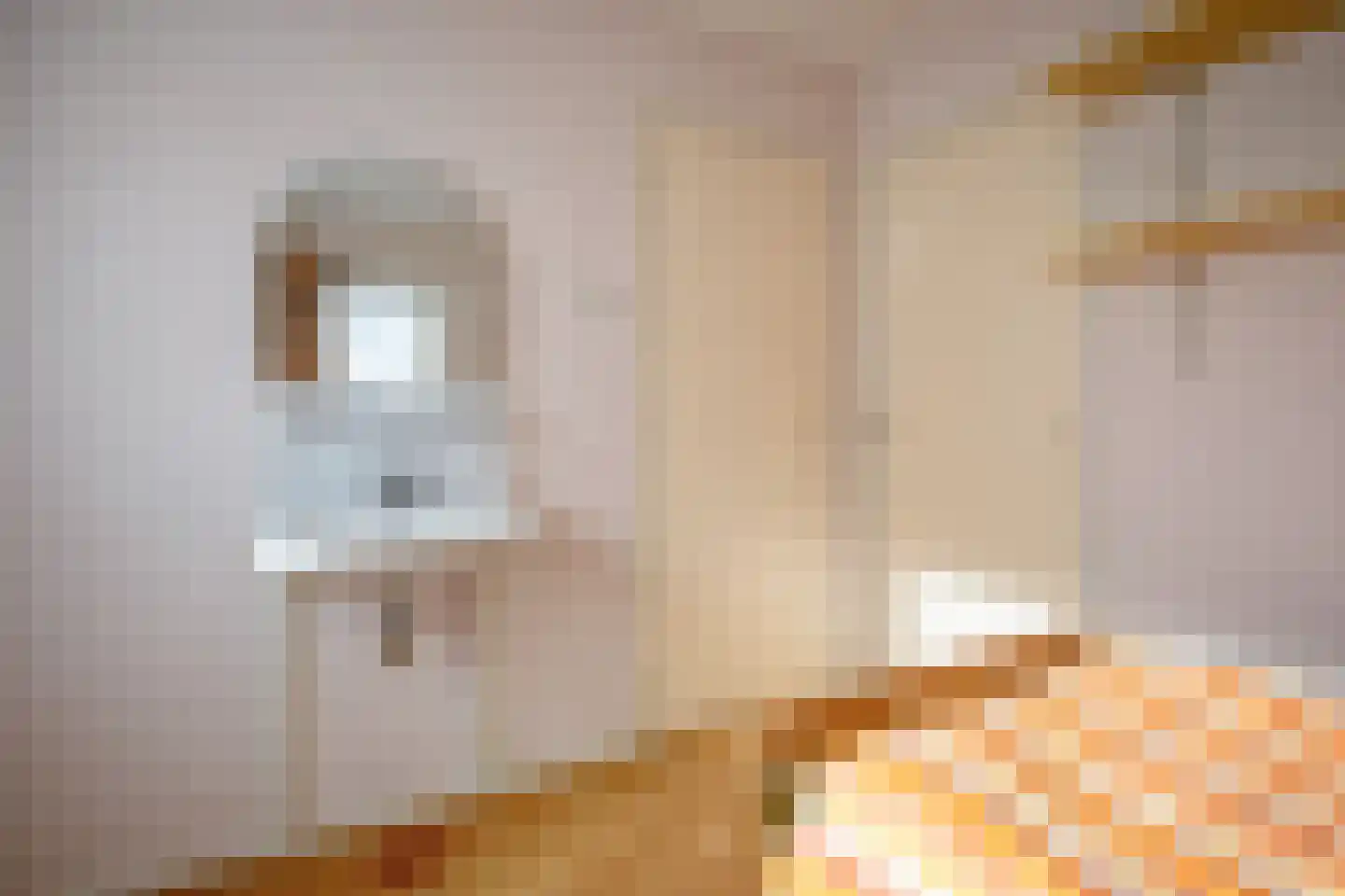 Oranjestraat 15 Oosterend thumbnail 25