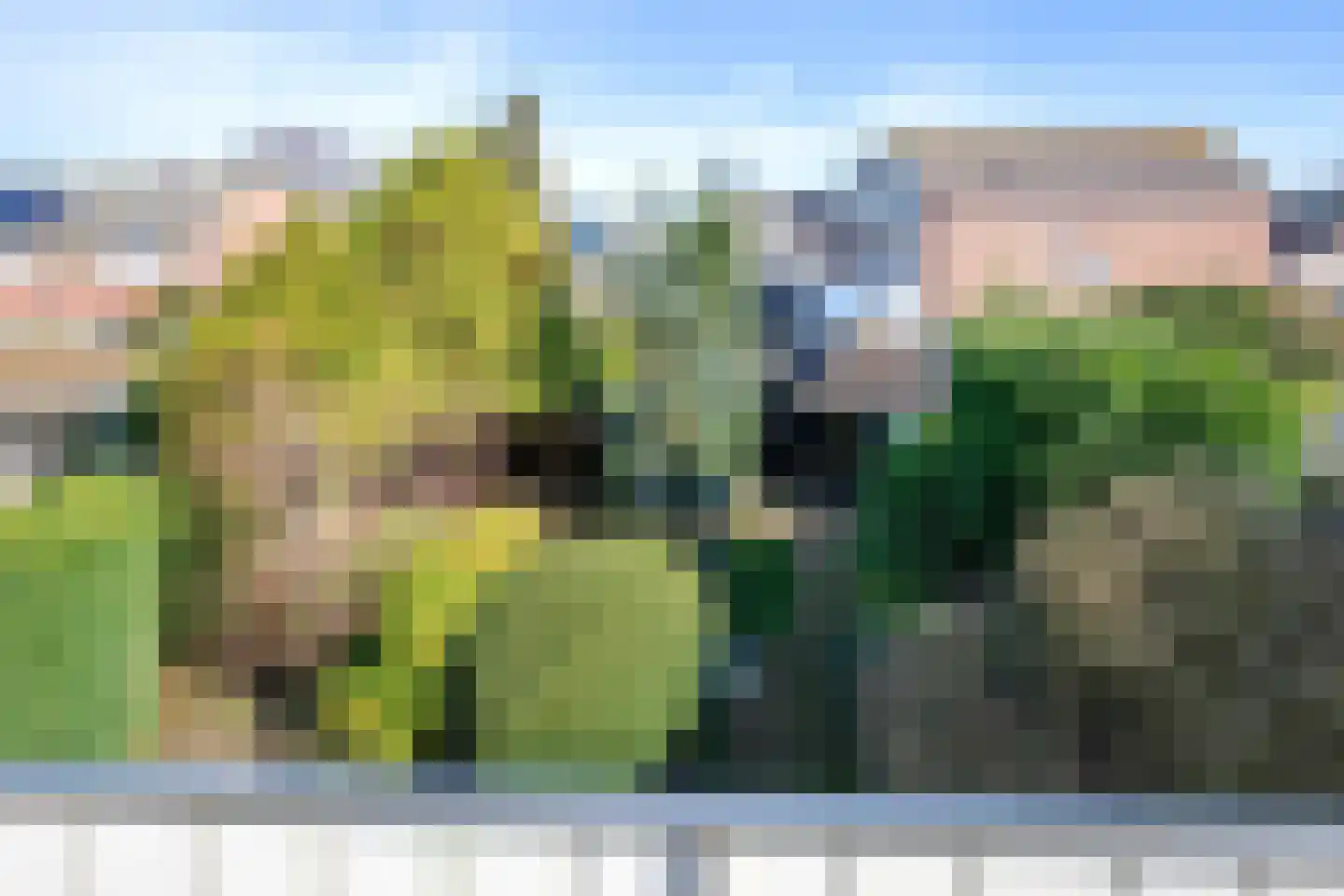 Oranjestraat 15 Oosterend thumbnail 46