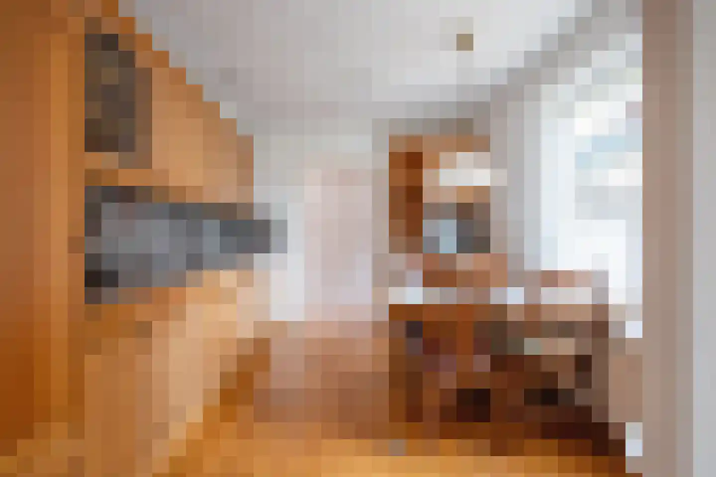 Oranjestraat 15 Oosterend thumbnail 9