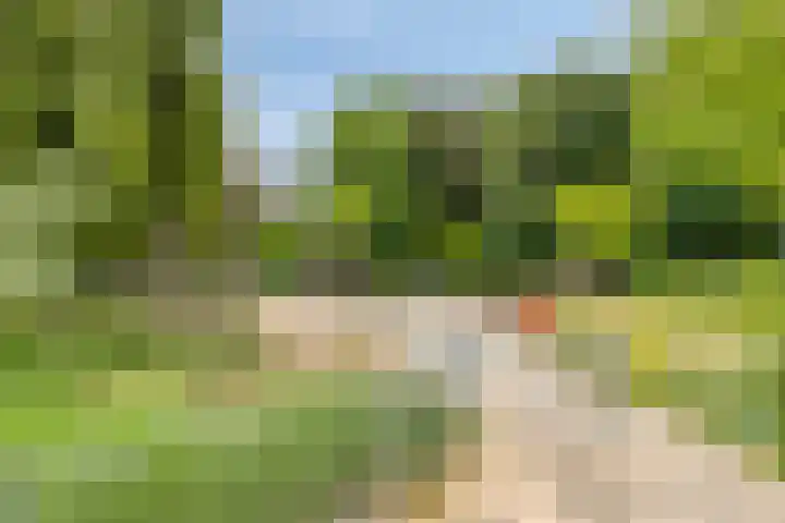 Oranjestraat 15 Wormerveer thumbnail 30
