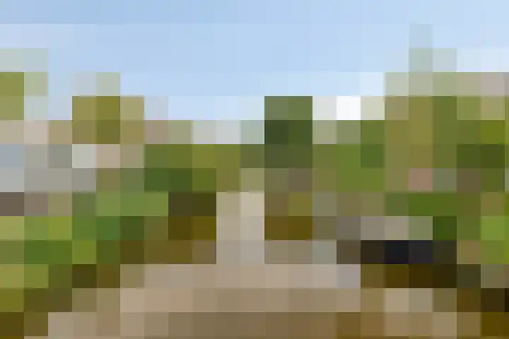 Oranjestraat 15 Wormerveer thumbnail 32