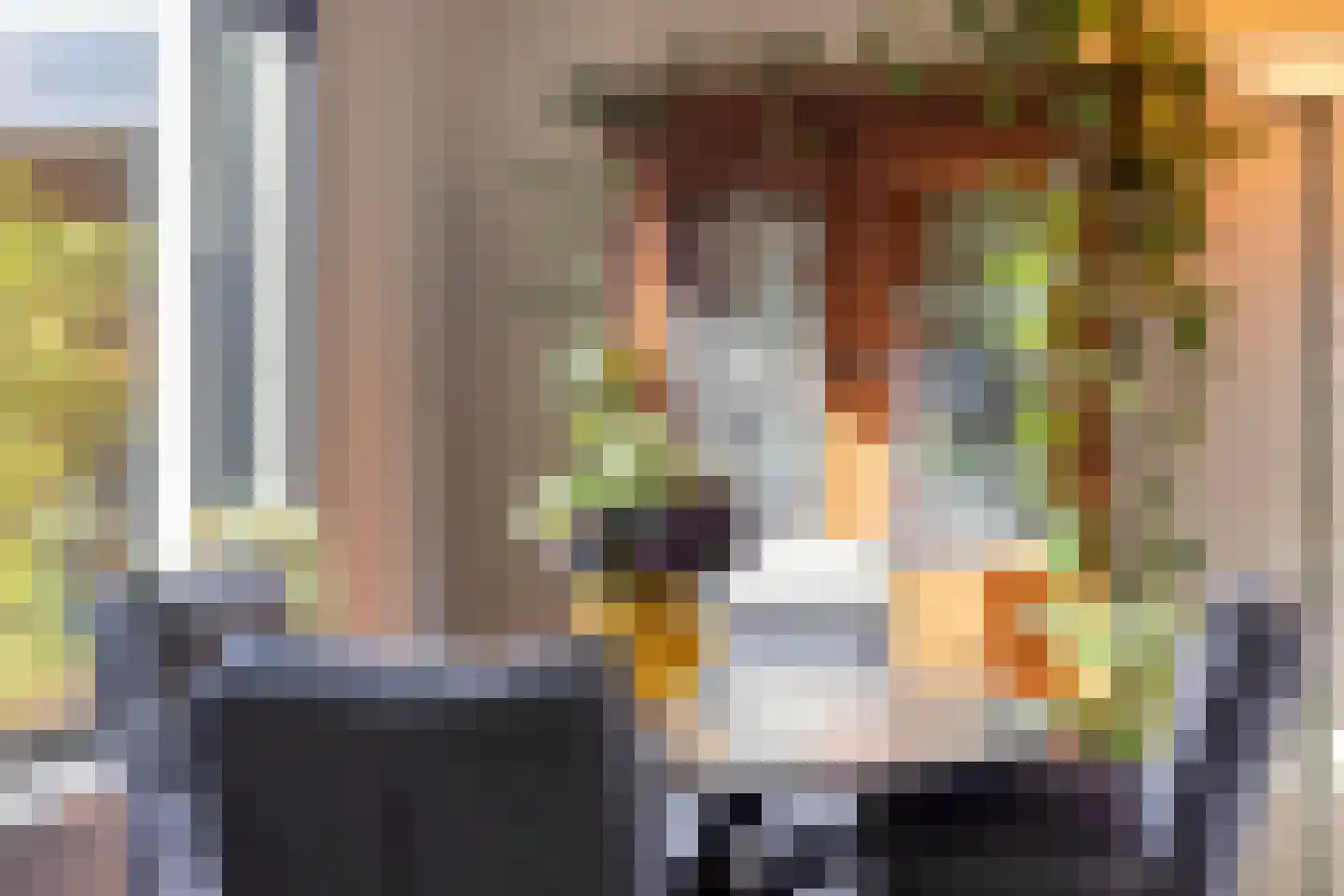 Oranjestraat 16 Losser thumbnail 11