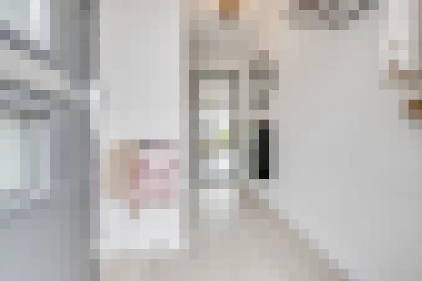 Oranjestraat 16 Noord-Scharwoude thumbnail 11