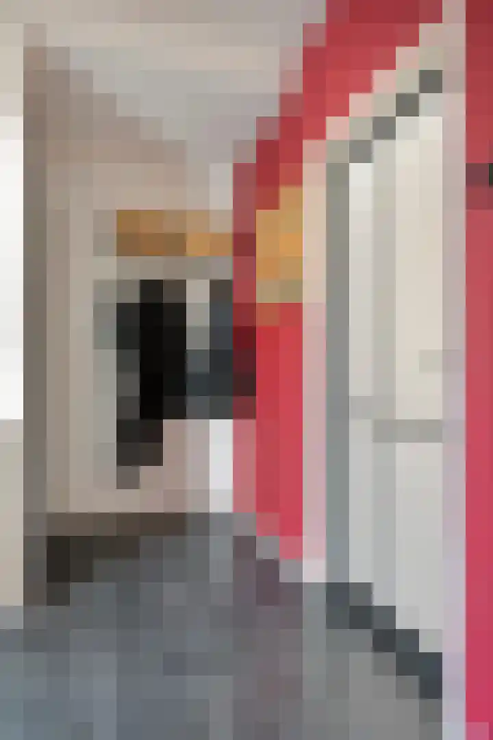 Oranjestraat 16 Rijsbergen thumbnail 10