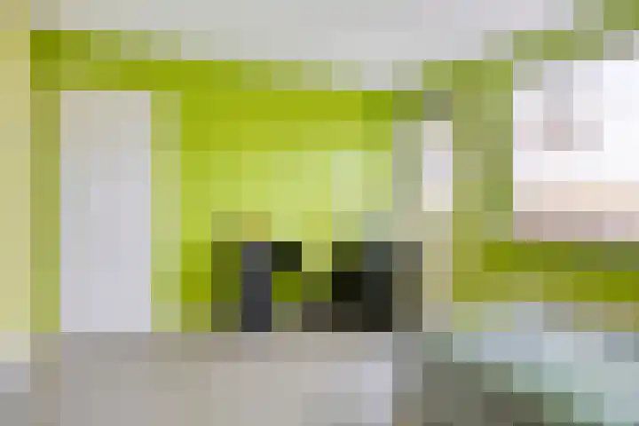 Oranjestraat 16 Rijsbergen thumbnail 23