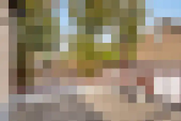 Oranjestraat 16 Rijsbergen thumbnail 33