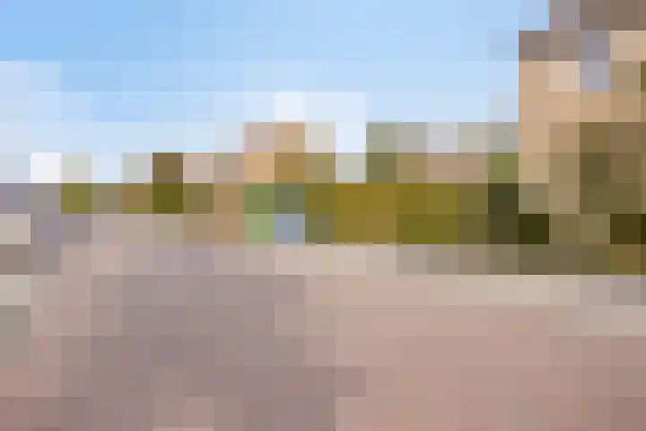 Oranjestraat 16 Rijsbergen thumbnail 35