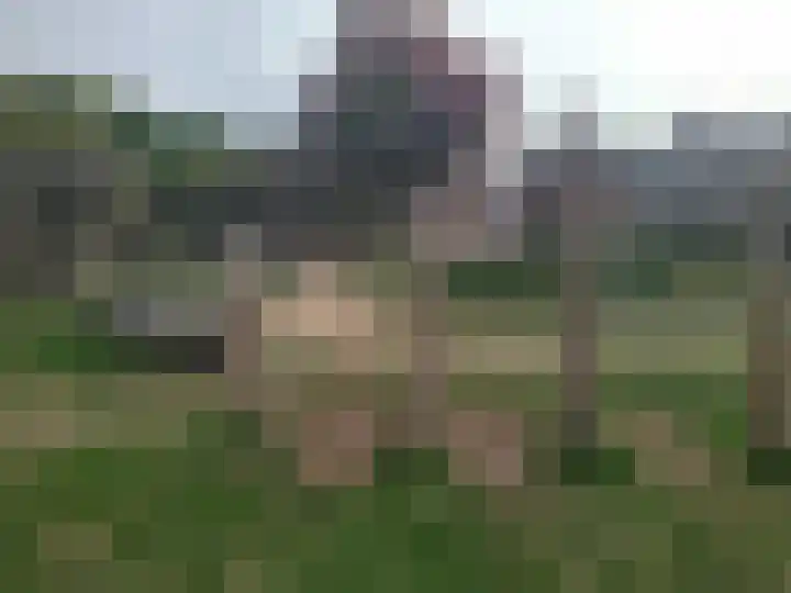 Oranjestraat 16 Rijsbergen thumbnail 36