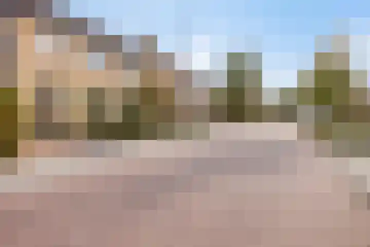 Oranjestraat 16 Rijsbergen thumbnail 7