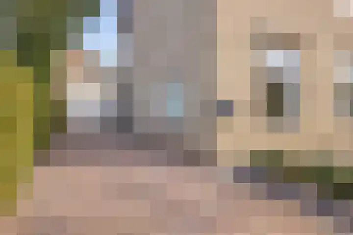 Oranjestraat 16 Rijsbergen thumbnail 8