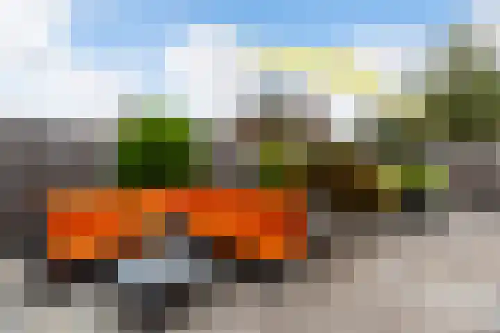 Oranjestraat 17 Barendrecht thumbnail 19