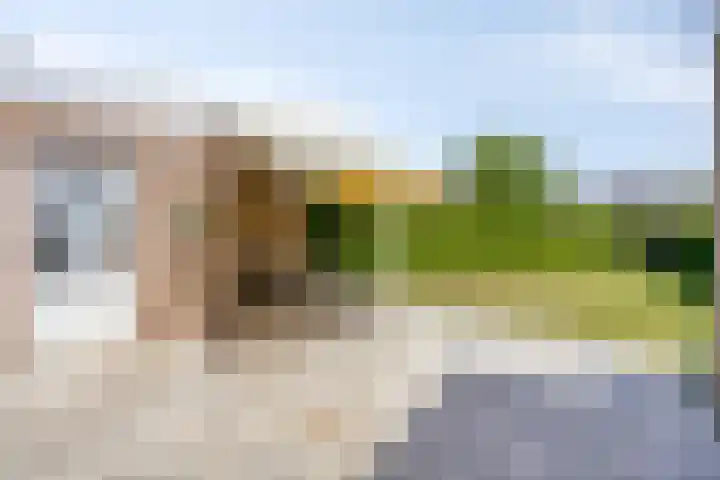 Oranjestraat 17 Nuenen thumbnail 32