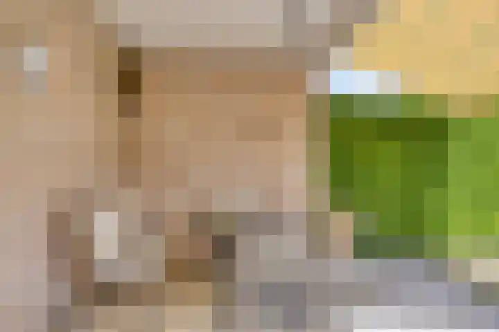 Oranjestraat 17 Nuenen thumbnail 33