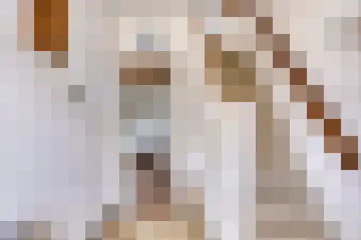Oranjestraat 17 Nuenen thumbnail 8