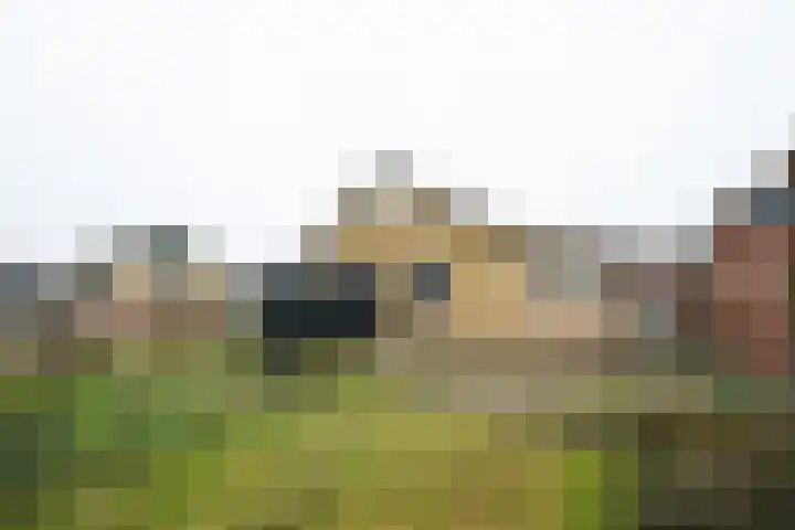 Oranjestraat 17 Varsseveld thumbnail 6