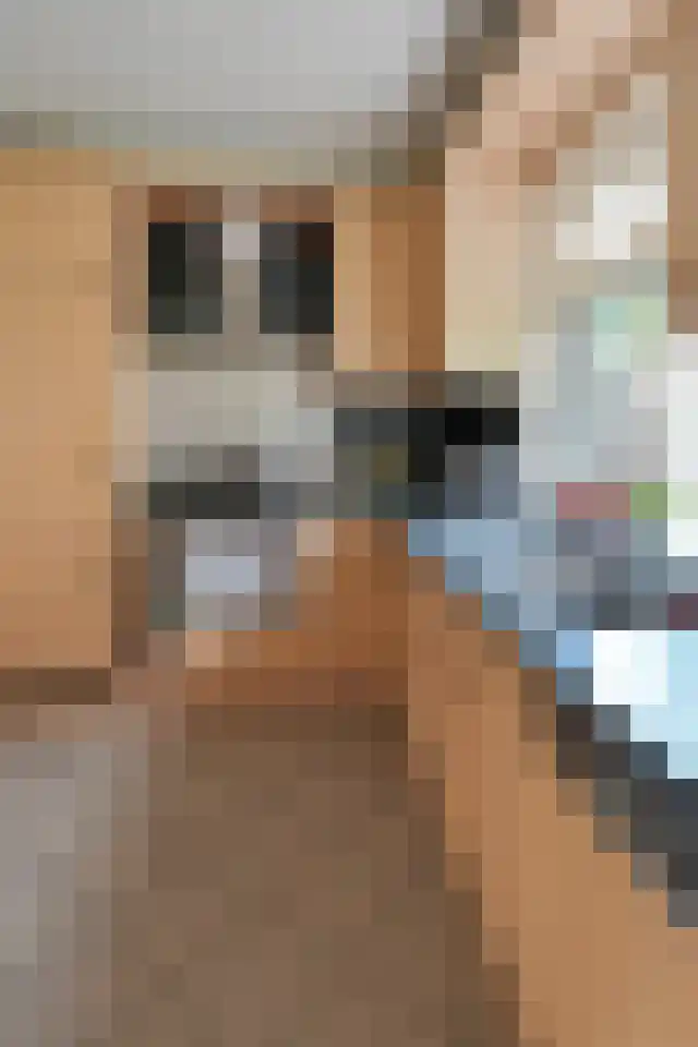 Oranjestraat 18 Oosterend thumbnail 5