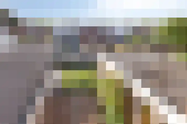 Oranjestraat 19 Varsseveld thumbnail 21