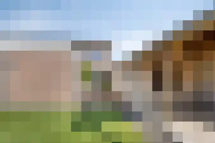 Oranjestraat 19 Varsseveld thumbnail 5