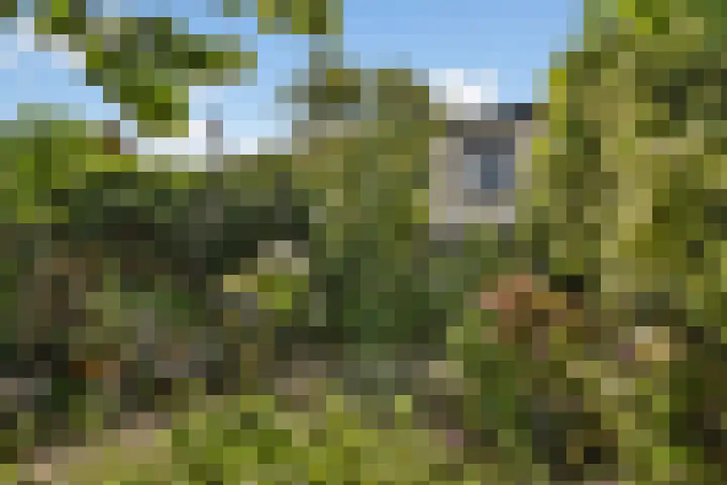 Oranjestraat 19 Vlaardingen thumbnail 25