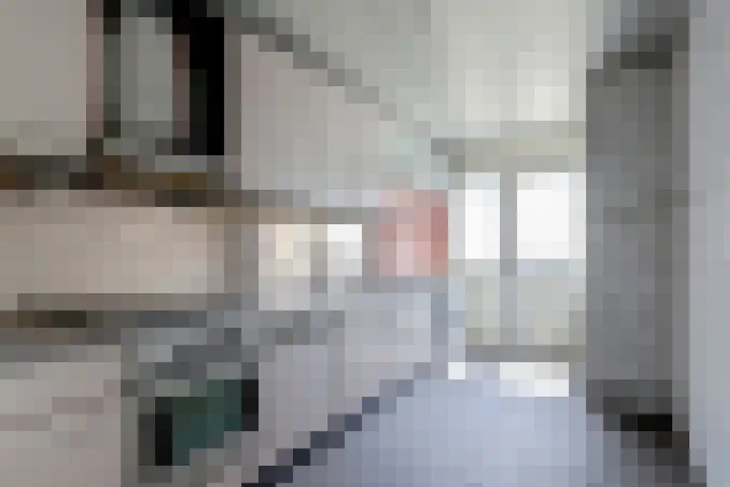 Oranjestraat 2 A Hendrik-Ido-Ambacht thumbnail 8