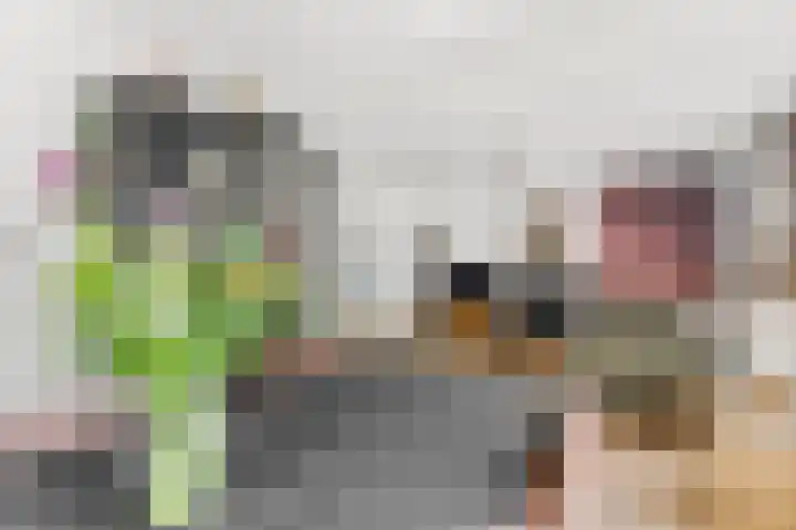 Oranjestraat 2 Alblasserdam thumbnail 12
