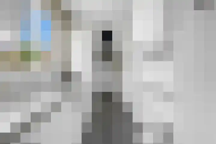 Oranjestraat 2 Alblasserdam thumbnail 18