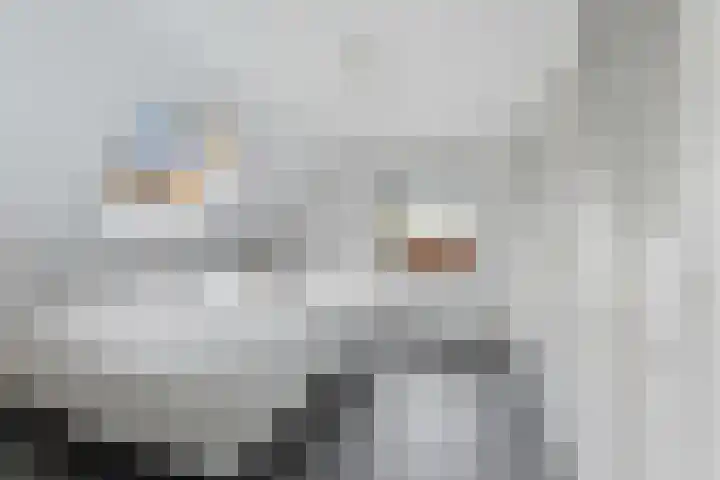 Oranjestraat 2 Alblasserdam thumbnail 25
