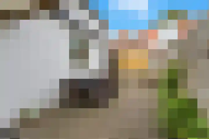 Oranjestraat 2 Alblasserdam thumbnail 31