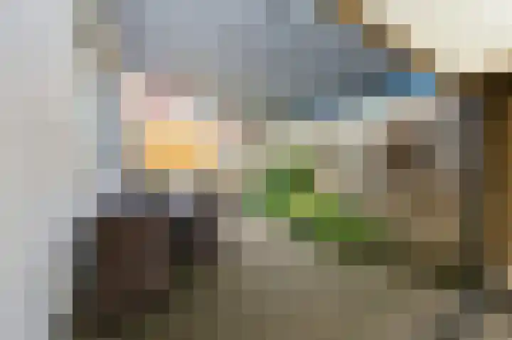 Oranjestraat 2 Alblasserdam thumbnail 32