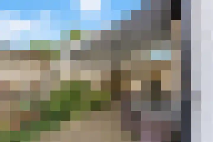 Oranjestraat 2 Alblasserdam thumbnail 33