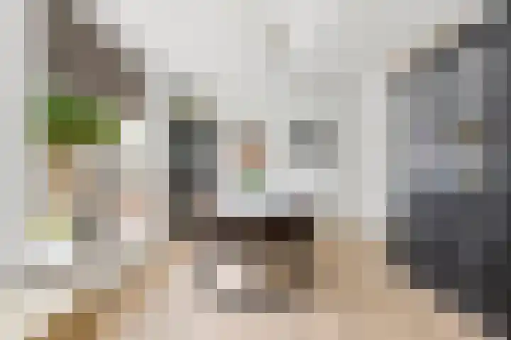 Oranjestraat 2 Alblasserdam thumbnail 9