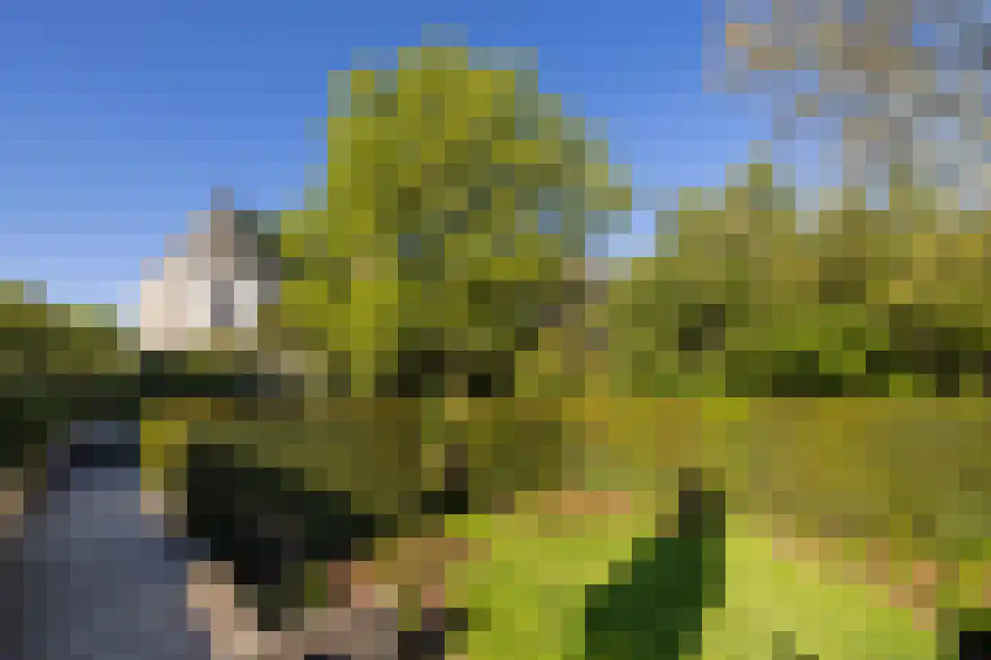 Oranjestraat 2 Beusichem thumbnail 19