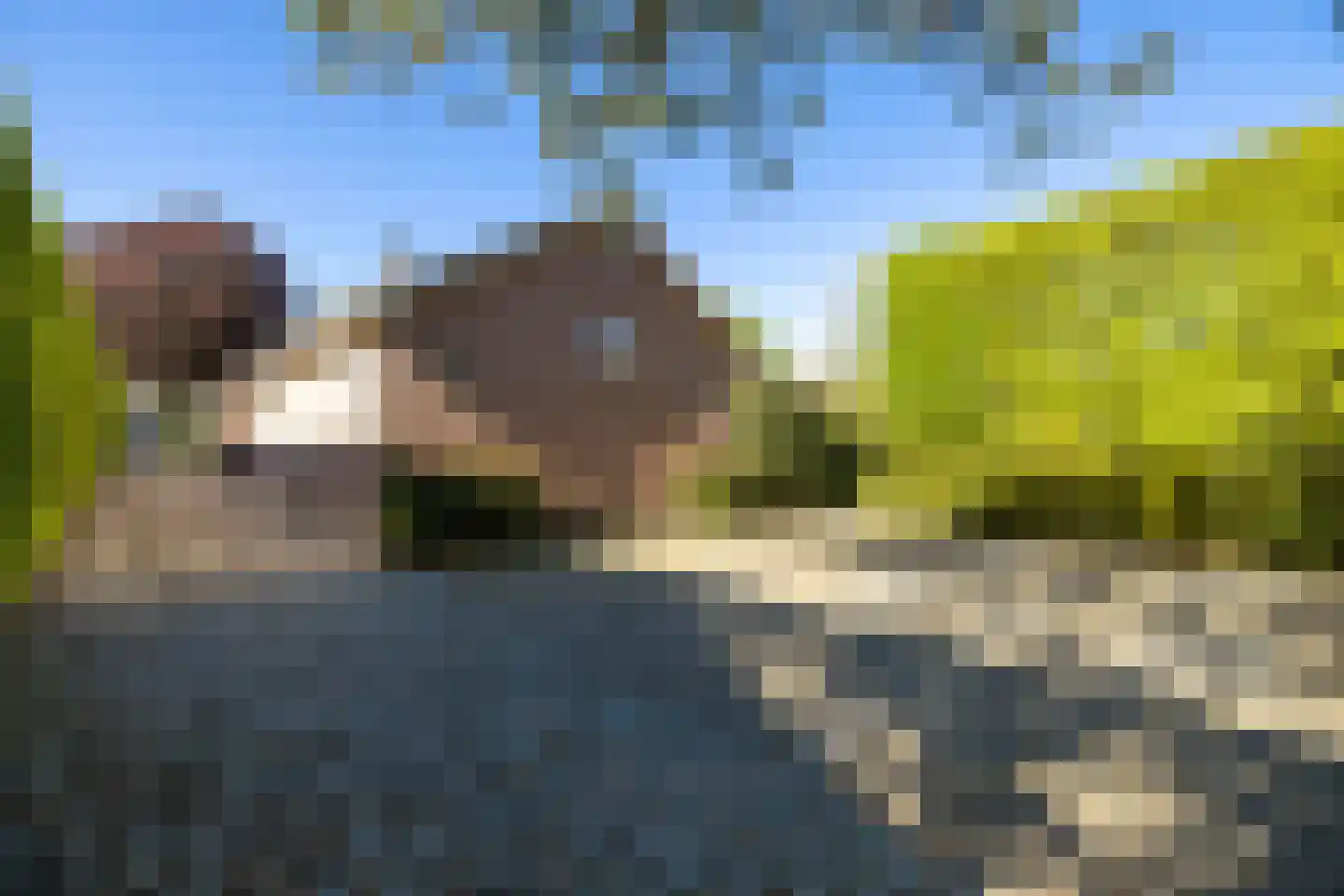Oranjestraat 2 Beusichem thumbnail 22