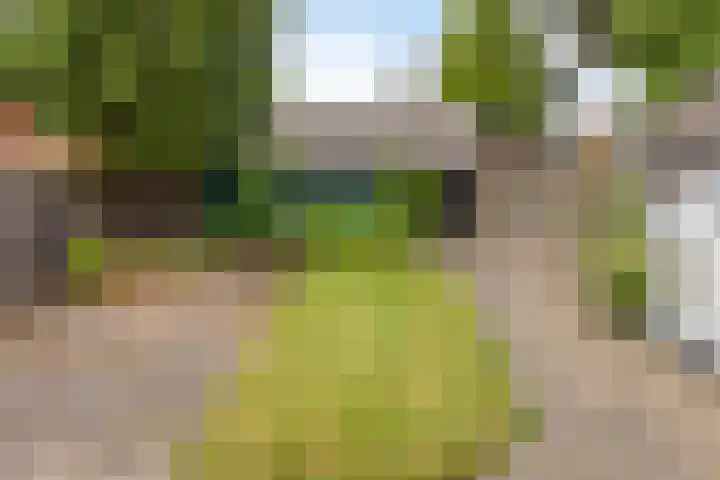 Oranjestraat 2 Nuenen thumbnail 24