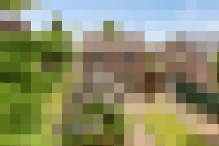 Oranjestraat 2 Nuenen thumbnail 25
