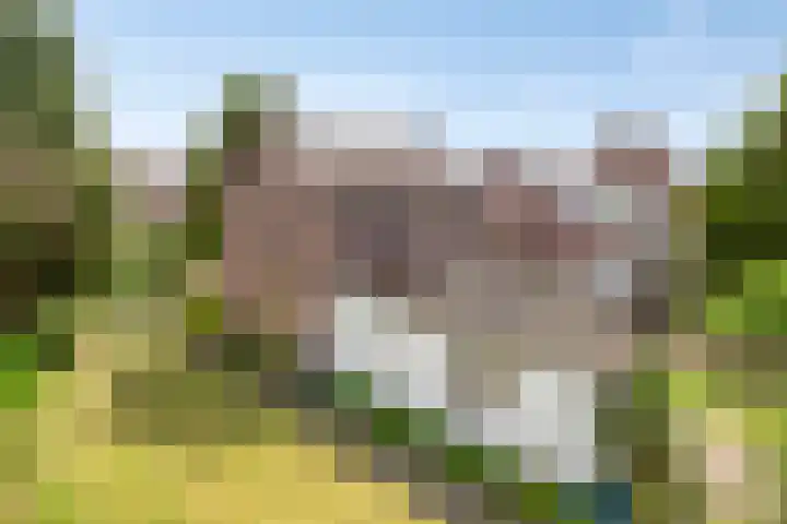 Oranjestraat 2 Nuenen thumbnail 26