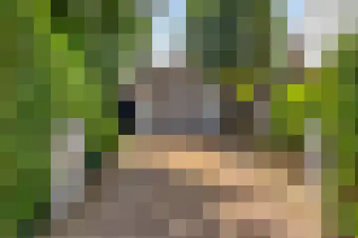 Oranjestraat 2 Nuenen thumbnail 31