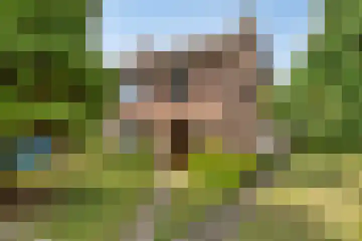 Oranjestraat 2 Nuenen thumbnail 4