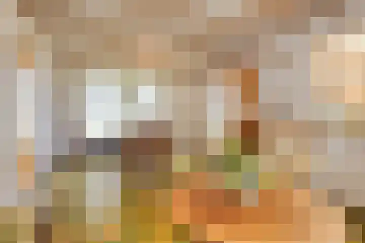 Oranjestraat 2 Nuenen thumbnail 8