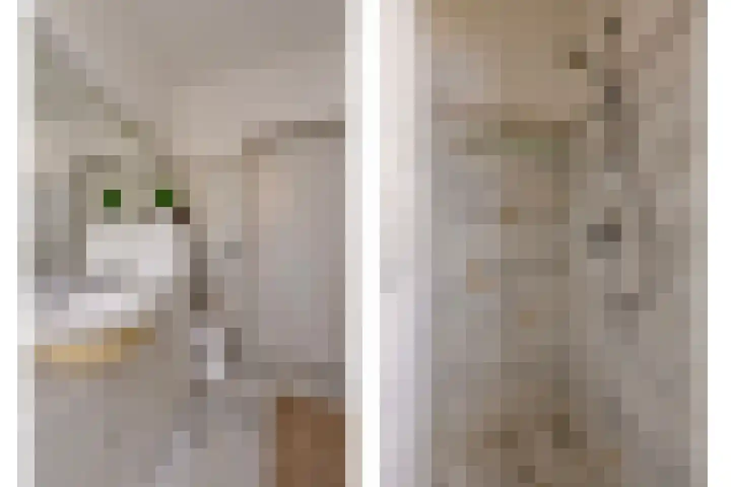 Oranjestraat 2 Purmerend thumbnail 12