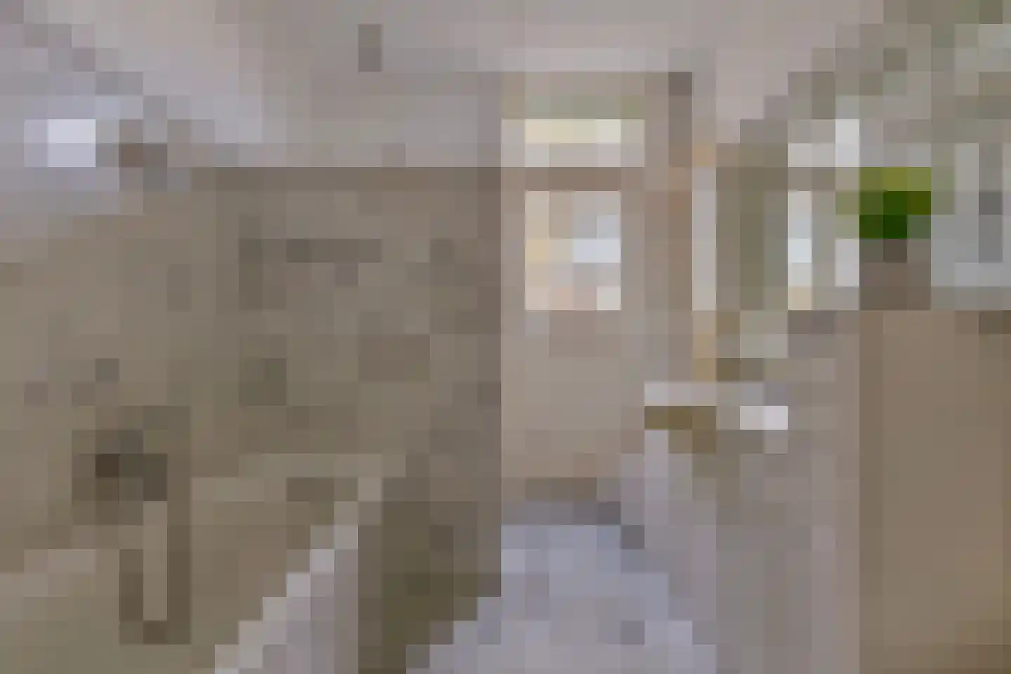 Oranjestraat 2 Purmerend thumbnail 13