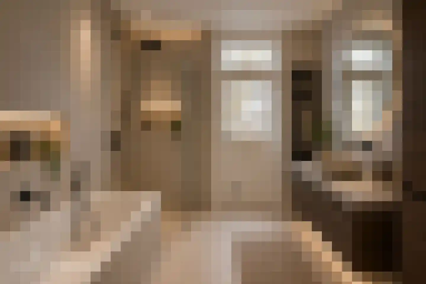 Oranjestraat 2 Purmerend thumbnail 14