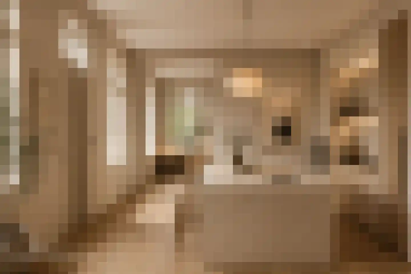 Oranjestraat 2 Purmerend thumbnail 4