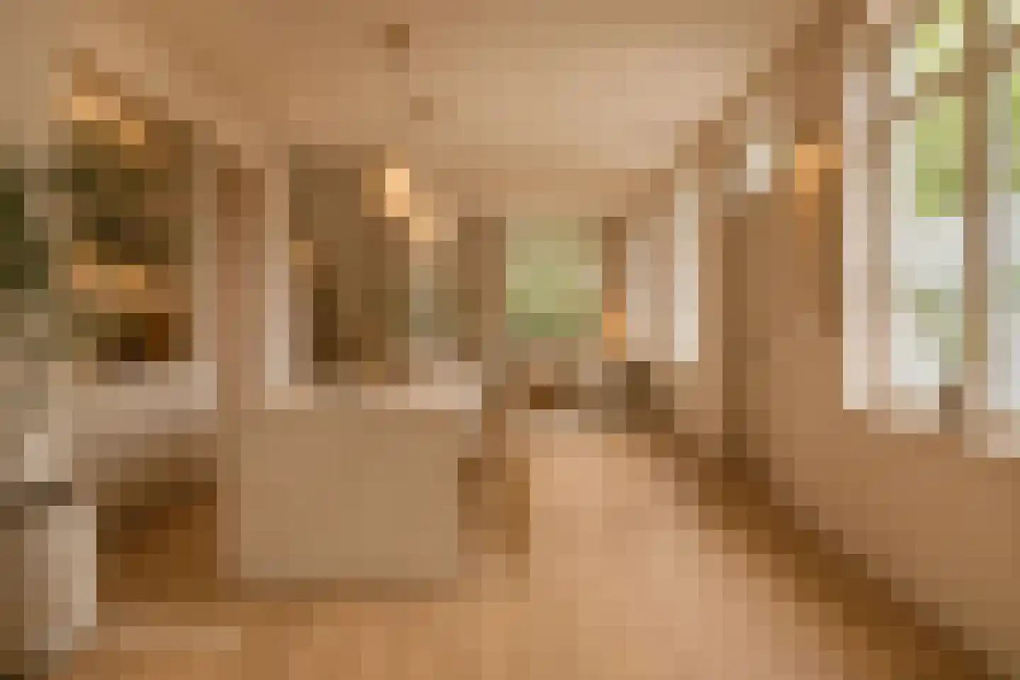 Oranjestraat 2 Purmerend thumbnail 6