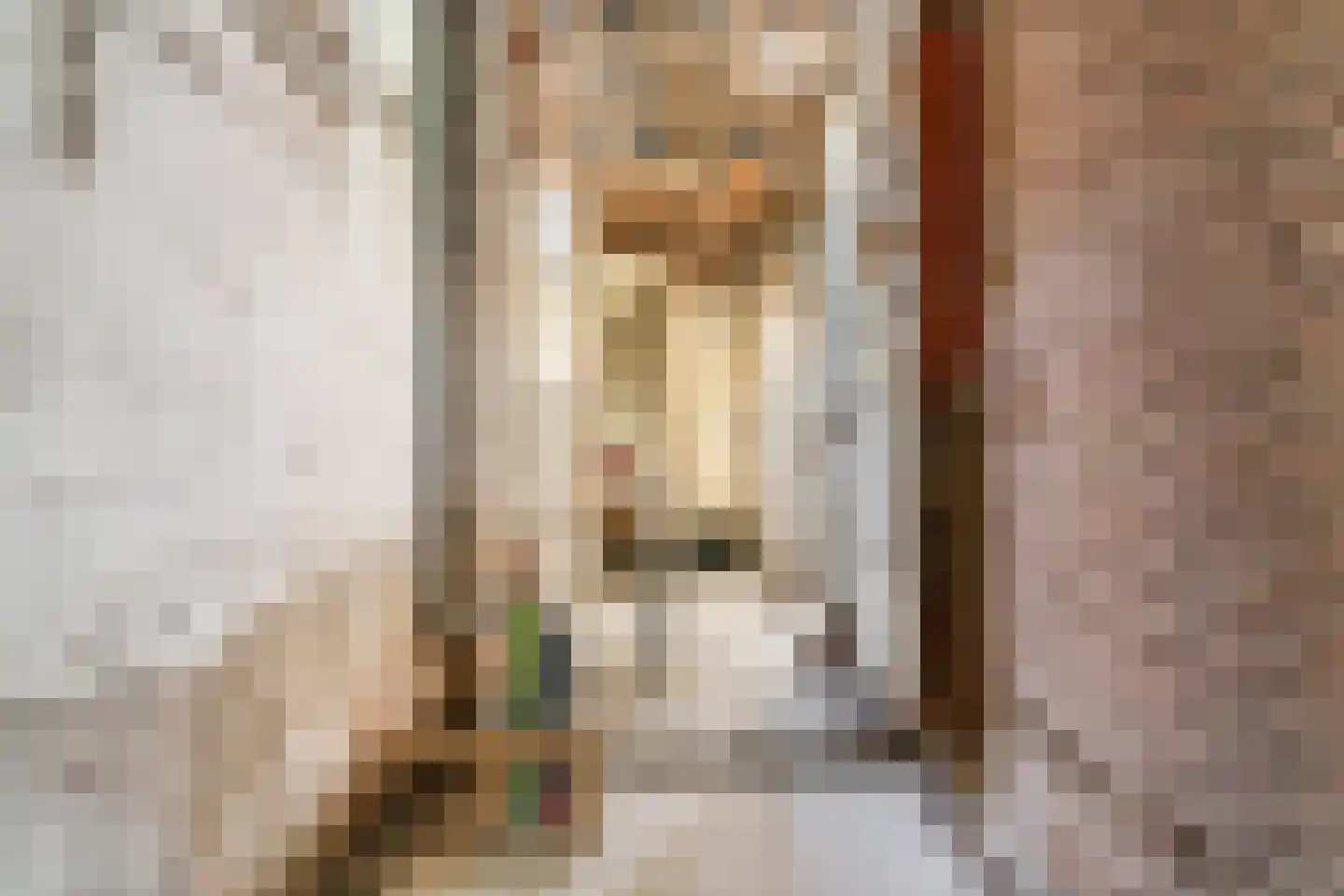 Oranjestraat 2 Purmerend thumbnail 9