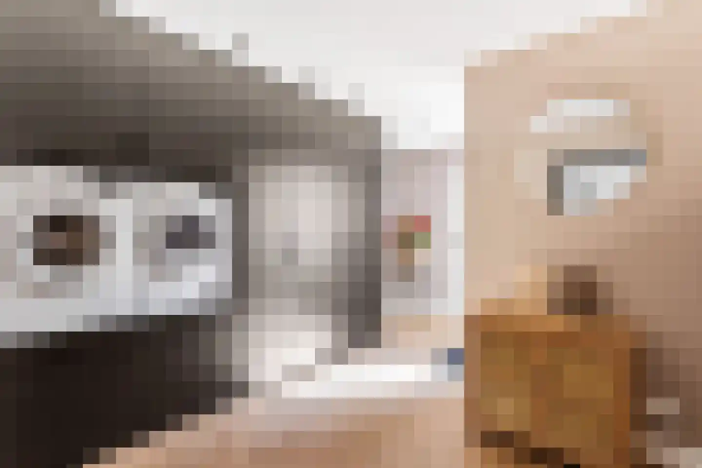 Oranjestraat 20 Denekamp thumbnail 11